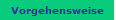 Vorgehensweise